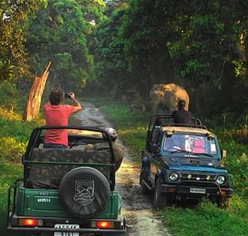 How to Plan Corbett Booking for the Perfect Jim Corbett Safari Experience? - Dehradun