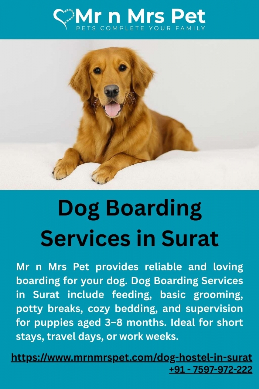 Dog Boarding Services in Surat - Surat