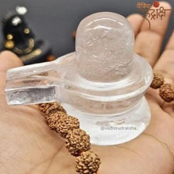 Vedic Rudraksha Spiritual Protection Authenticity & Benefits - Dehradun