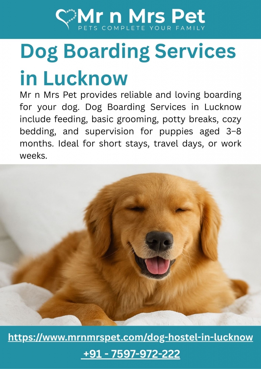 Dog Boarding Services in Lucknow - Lucknow