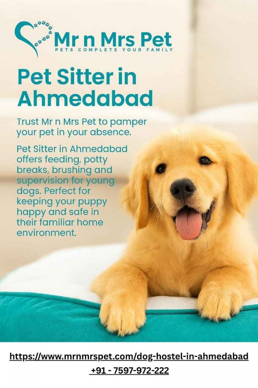 Pet Sitter in Ahmedabad - Ahmedabad
