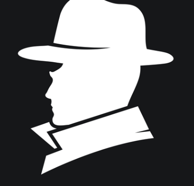 private detective agency - Delhi