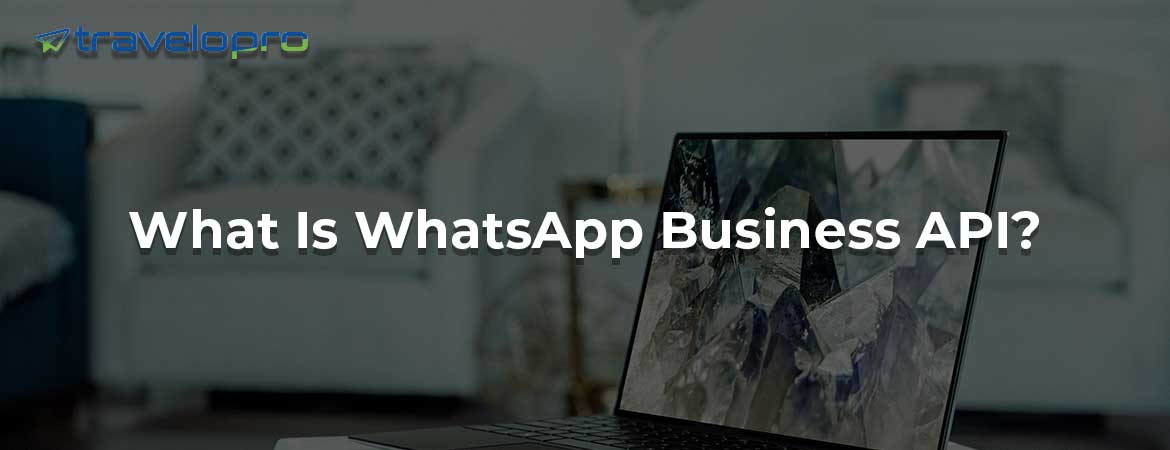 Best WhatsApp Business API - Bangalore