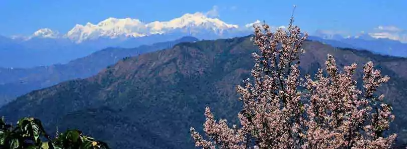 Affordable North Bengal Package Tour for Families and Large Groups by NatureWings Holidays Limited - Kolkata