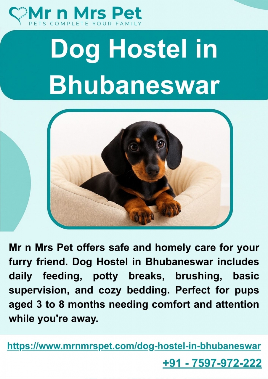 Dog Hostel in Bhubaneswar - Bhubaneswar