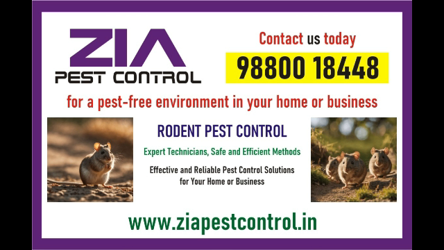 Cockroach Treatment service rs. 999/- only | Residence | Zia pest control | 2056 - Bangalore