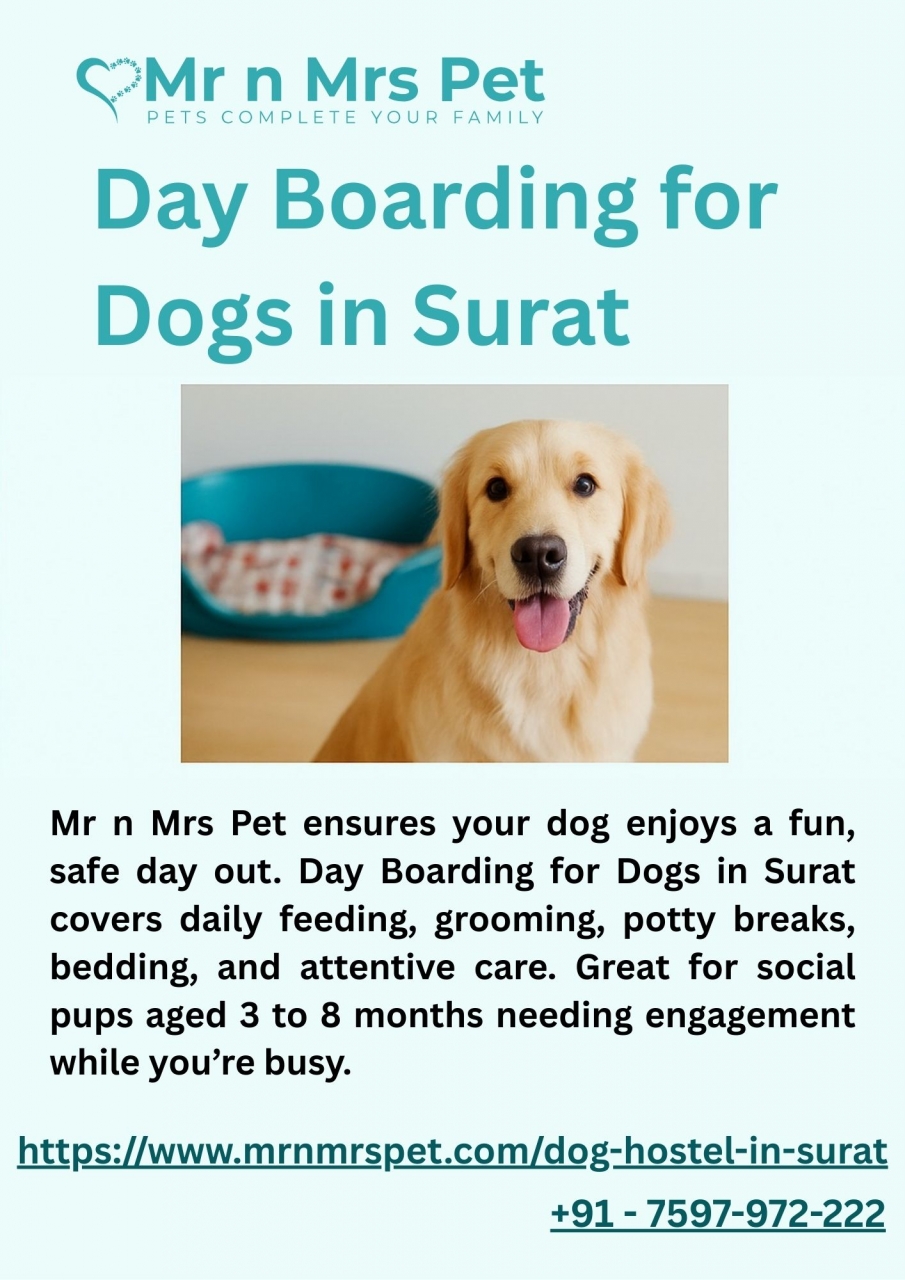 Day Boarding for Dogs in Surat - Surat