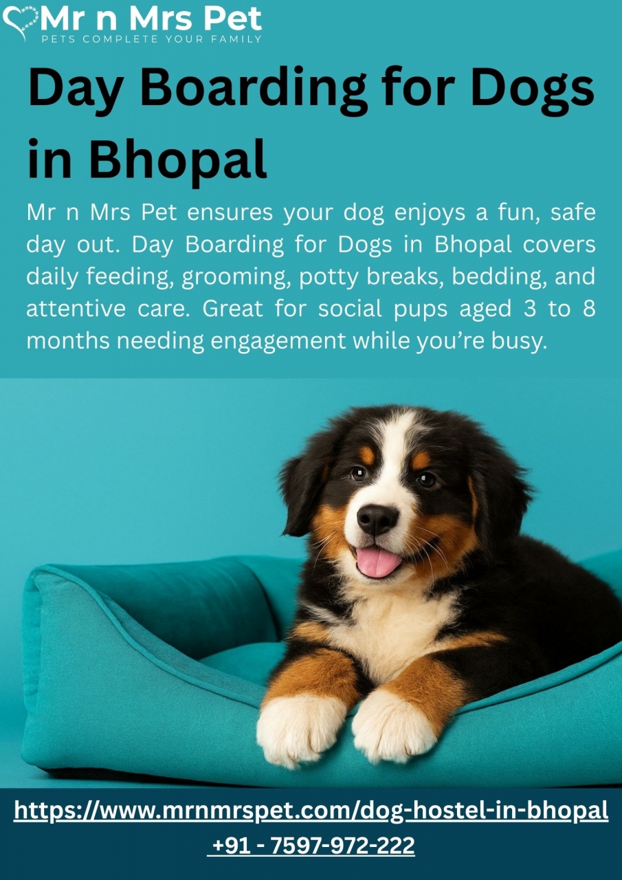 Day Boarding for Dogs in Bhopal - Bhopal