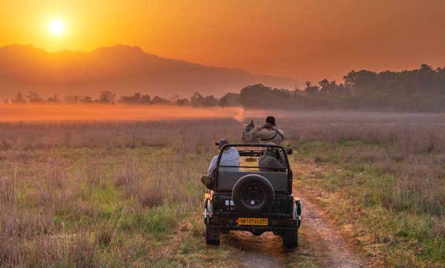 Best Corbett Booking Zones for Tiger Spots Near Top Resorts - Raipur