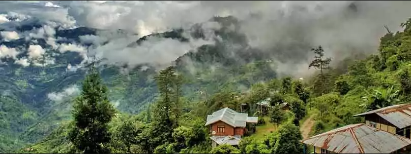 North Bengal Tour Packages from NJP & Kolkata: 2026 Best Itineraries || NatureWings Holidays Limited - Kolkata