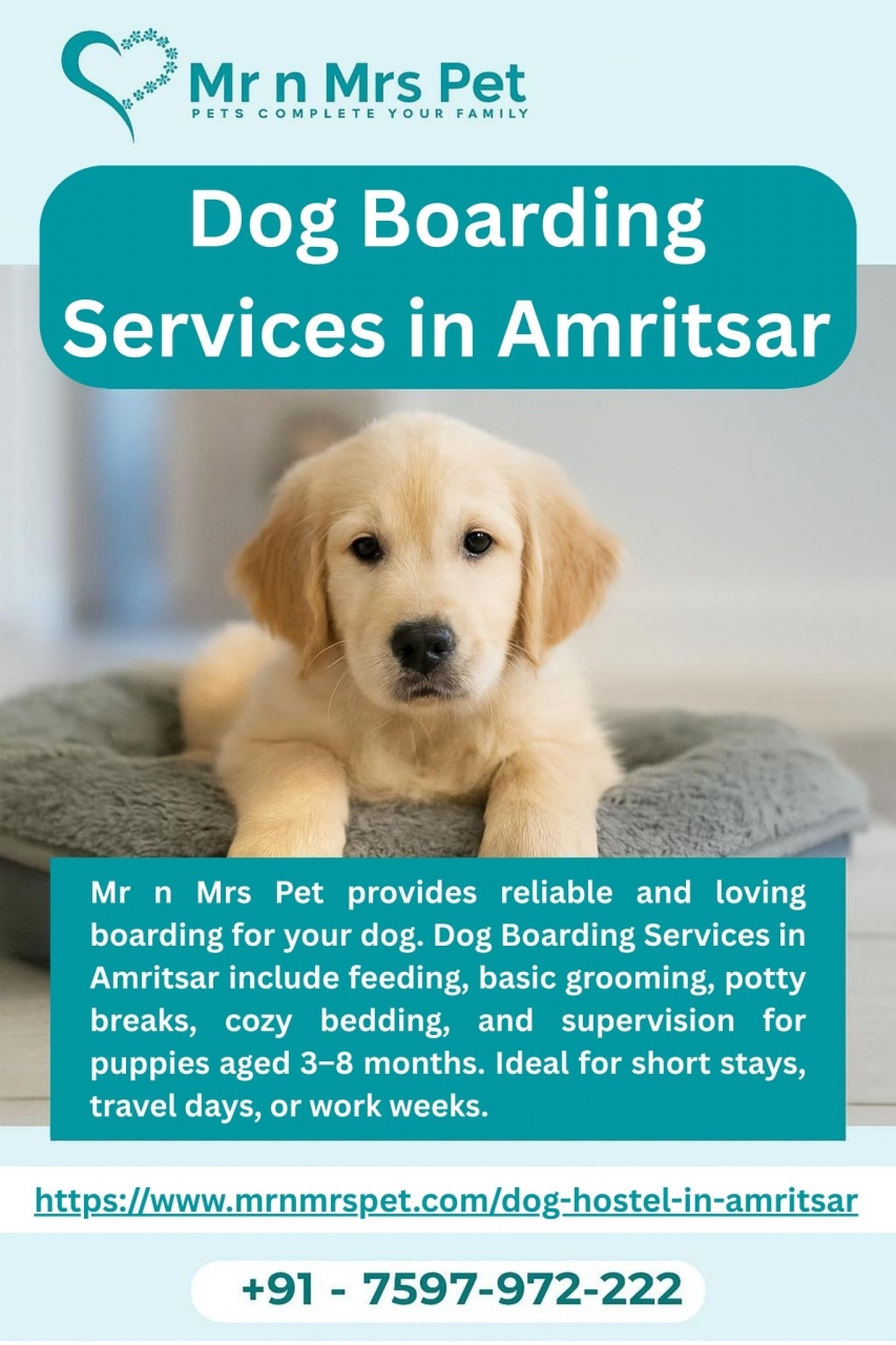Dog Boarding Services in Amritsar - Amritsar