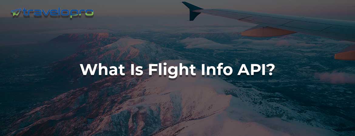 Flight Info API