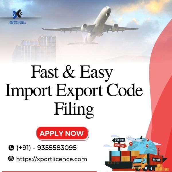Fast & Easy Import Export Code Filing - Rajkot