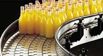 Chain Conveyor  - Noida