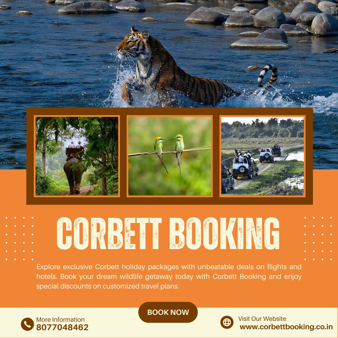Experience Wildlife Adventure at Corbett National Park Safaris - Dehradun