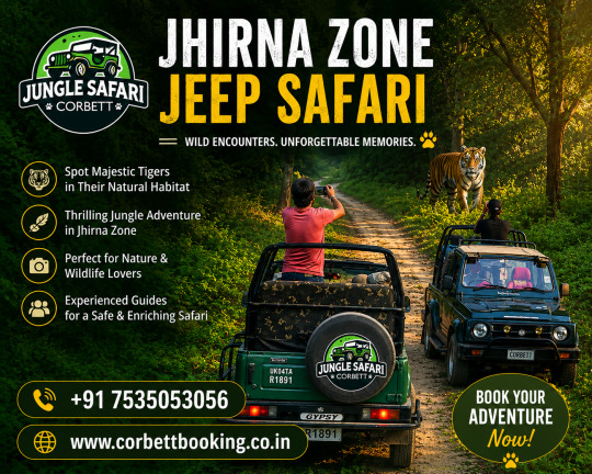 Jhirna Zone Safari Booking Secure Your Wildlife Adventure Today - Dehradun
