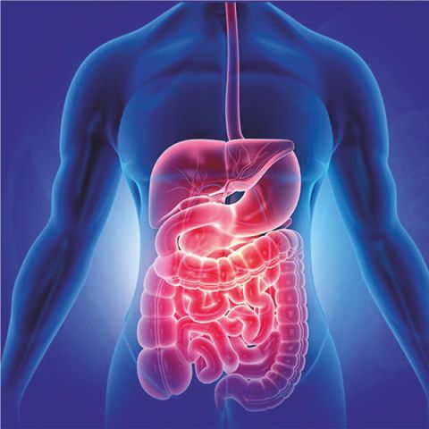 Best Gastroenterologists in Ujjain - Indore