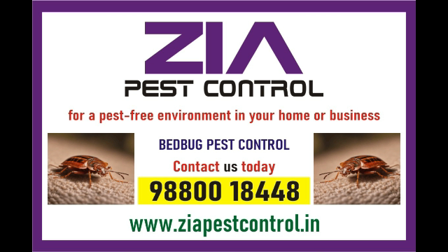 Zia Pest control | Bedbug Treatment | 100% Guaranty satisfaction | 1920 - Bangalore Zia Pest control | Bedbug Treatment | 100% Guaranty satisfaction | 1920 - Bangalore