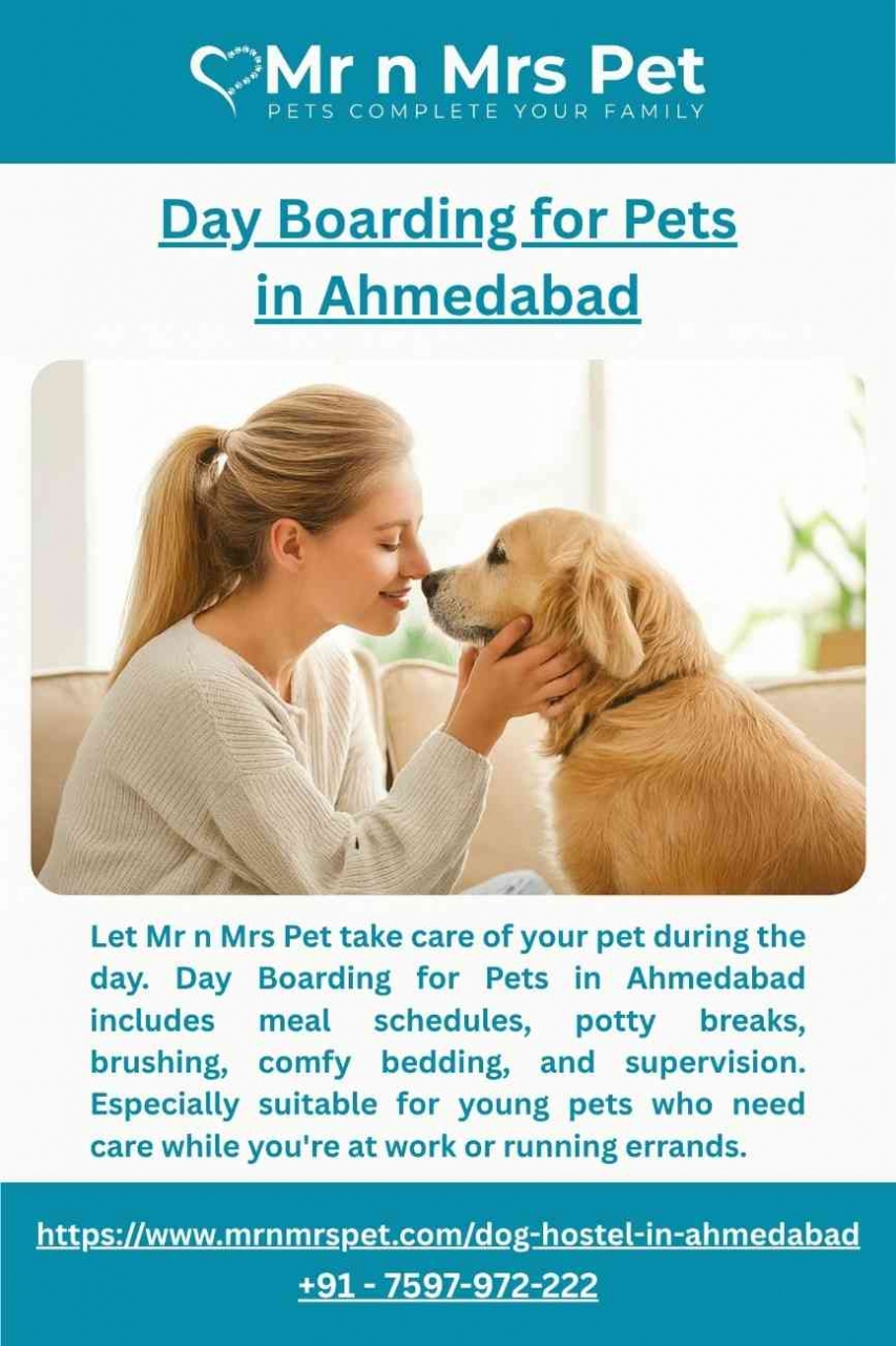 Day Boarding for Pets in Ahmedabad - Ahmedabad