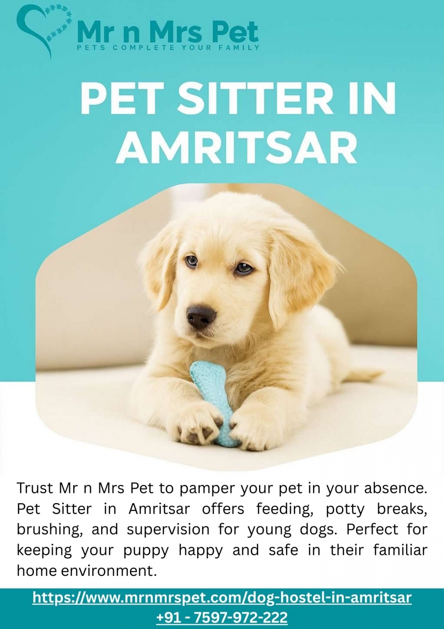 Pet Sitter in Amritsar - Amritsar