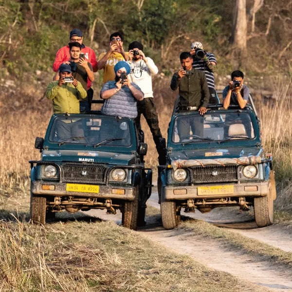 Corbett National Park The Real Jungle Safari Adventure (2026 Guide) - Dehradun