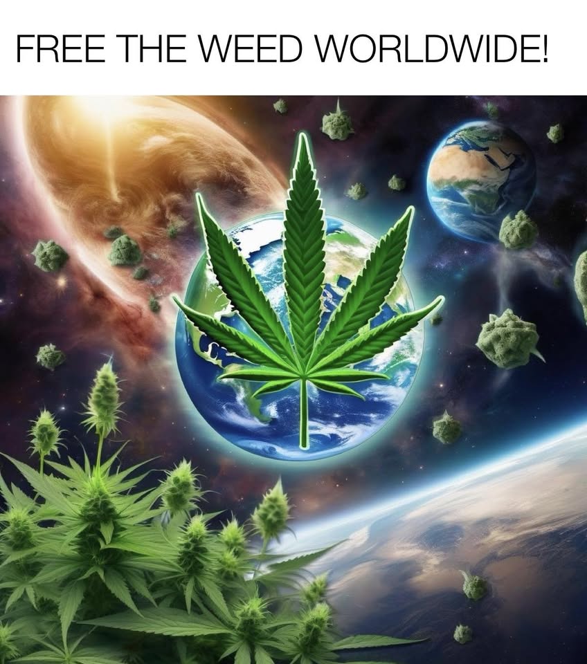 Energizing Cannabis Flower (Sativa Dominant)