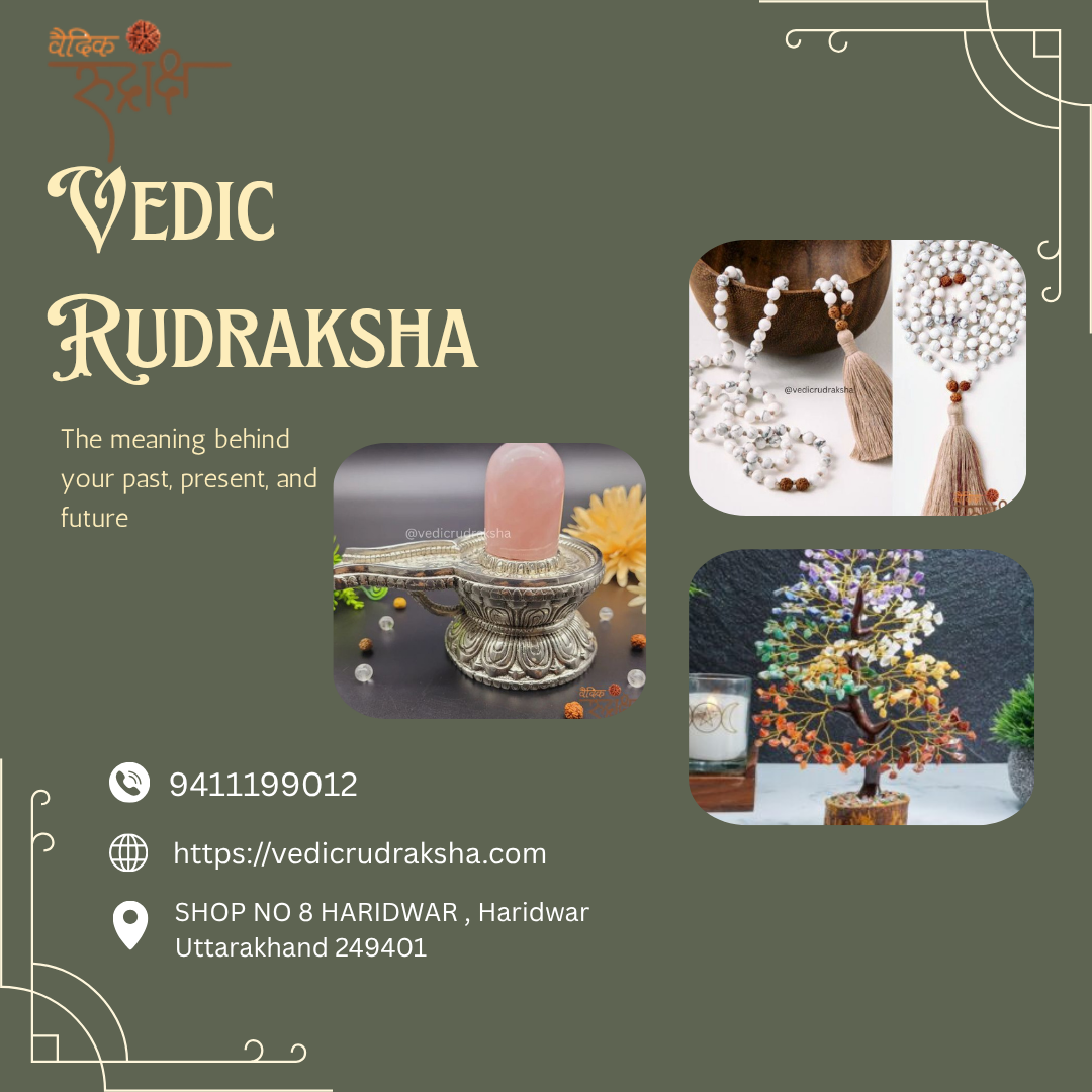 Discover the Divine Energy and Spiritual Power of Vedic Rudraksha - Dehradun