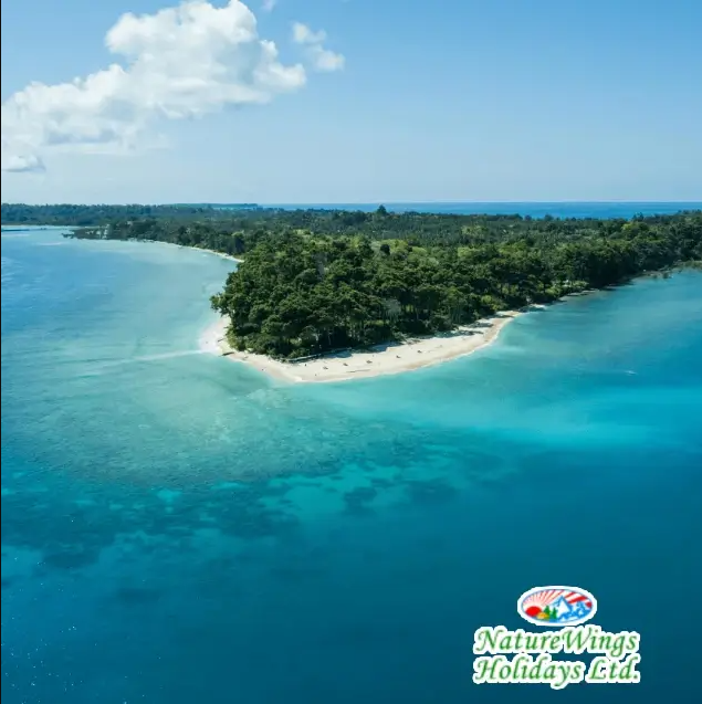 Travel Guide, Ferry Information & Essential Tips for Andaman Tour Packages from Kolkata - Kolkata