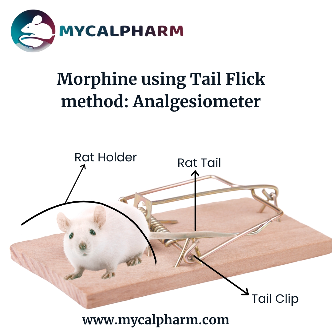 Morphine using Tail Flick method: Analgesiometer - Delhi