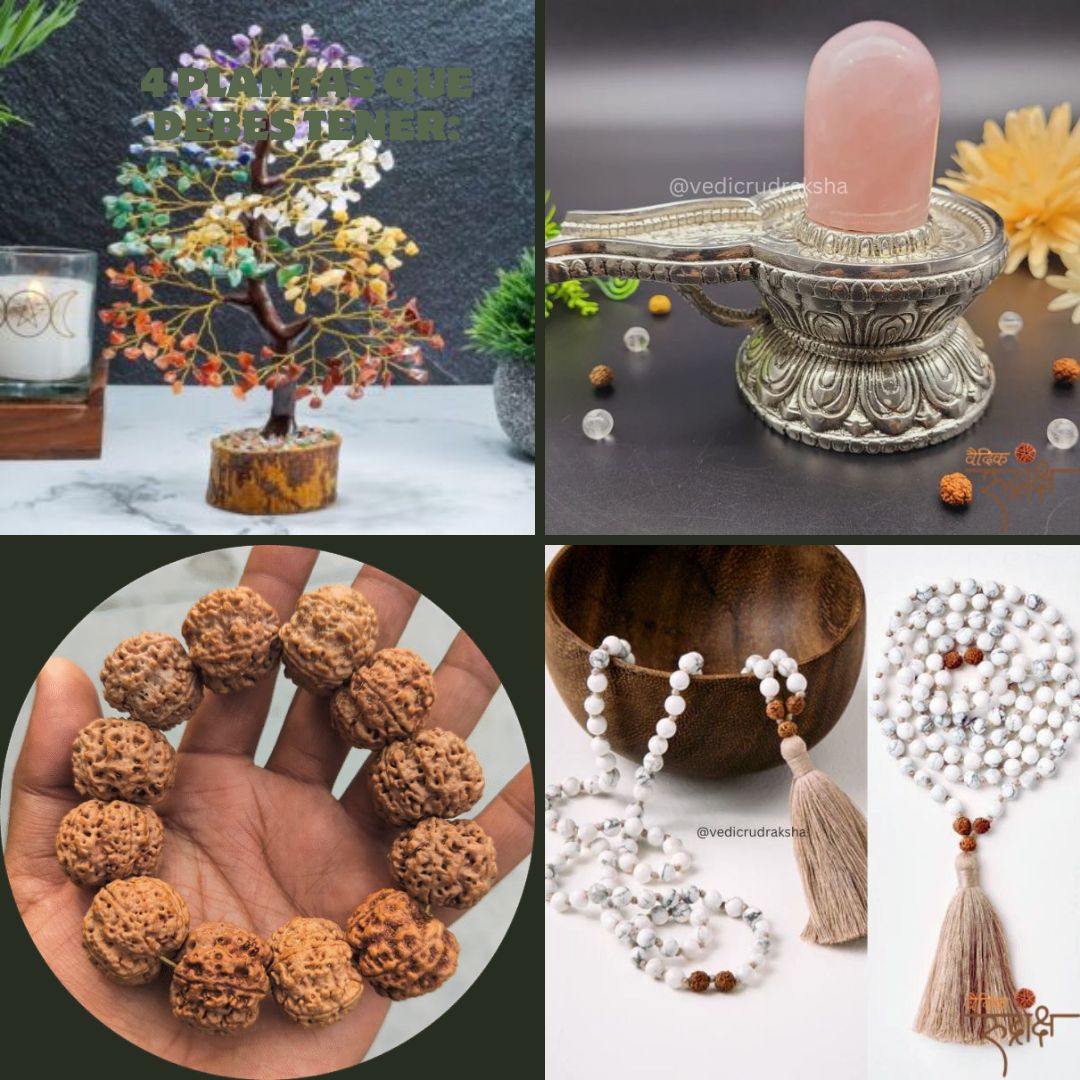 White Howlite Mala Necklace Online Vedic Rudraksha Natural Beads - Dehradun