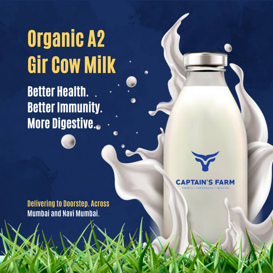 Inside a Pure-Breed Dairy: How Captain’s Farm Raises Their Own Gir Cows with Care - Mumbai
