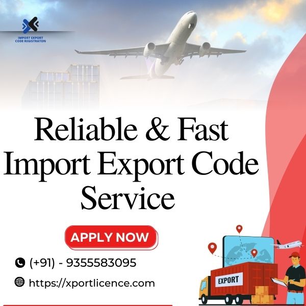 Reliable & Fast Import Export Code Service  - Delhi