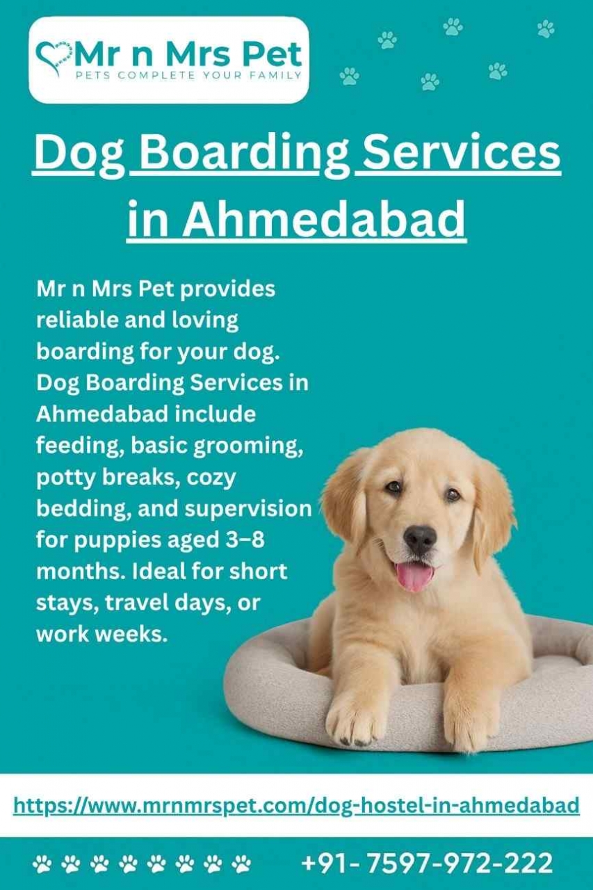 Dog Boarding Services in Ahmedabad - Ahmedabad