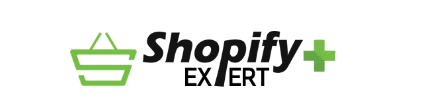 The Role of a Shopify Developer