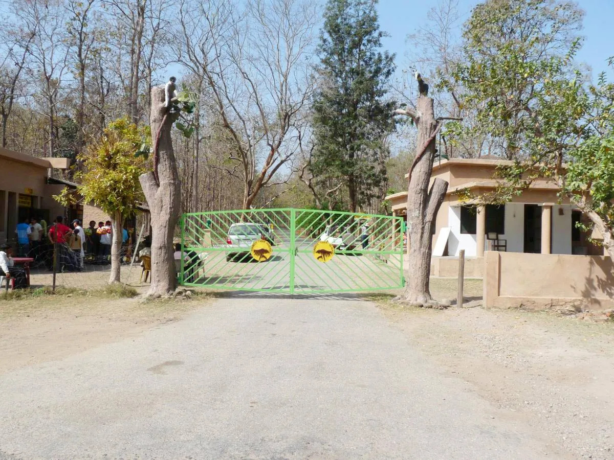 Inside the Wild Rhythm of Bijrani Zone in Jim Corbett National Park - Dehradun