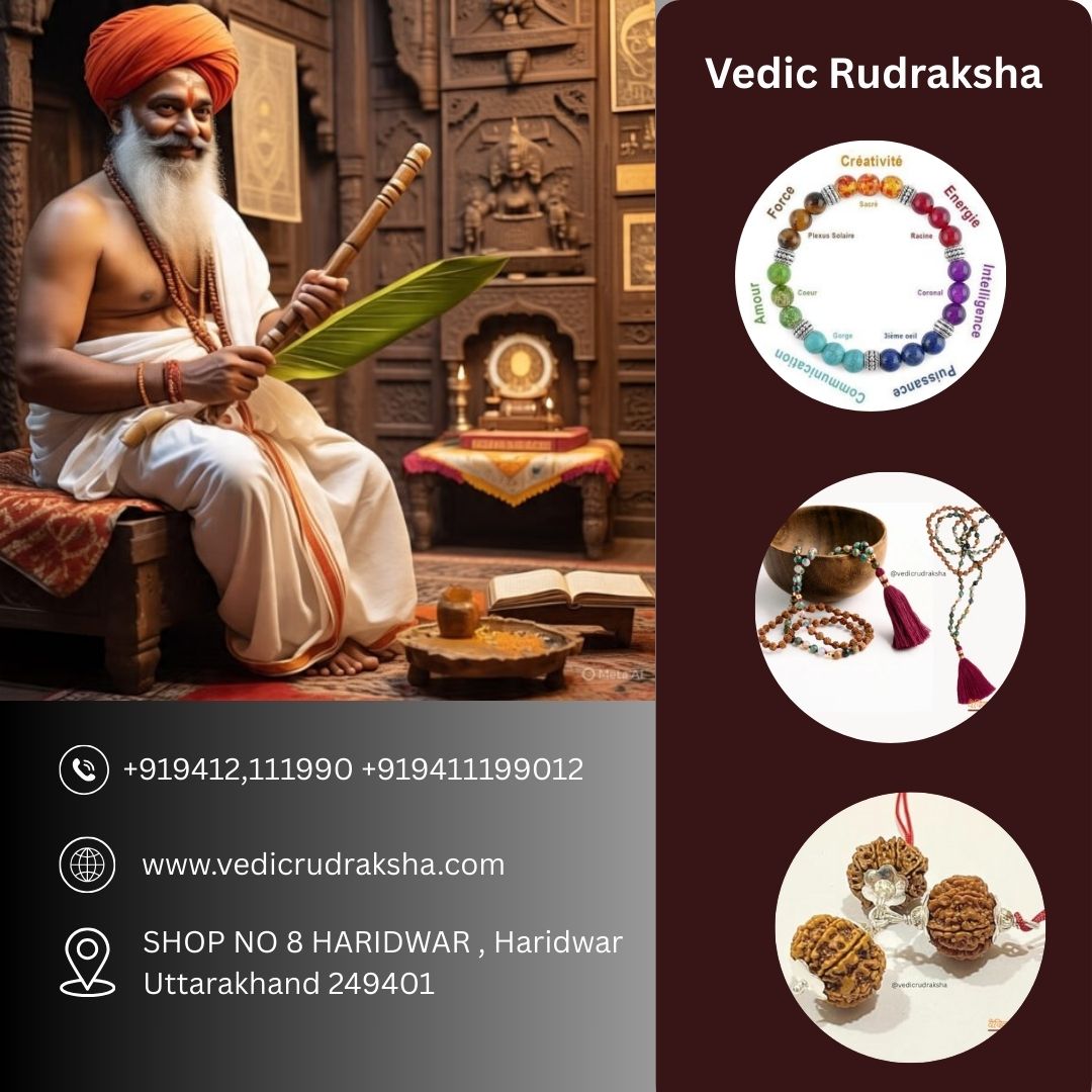 Embrace Natural Rudraksha Beads Vedic & Divine Wisdom in Haridwar - Dehradun