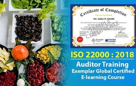 ISO 22000 Auditor Training Online - Ahmedabad