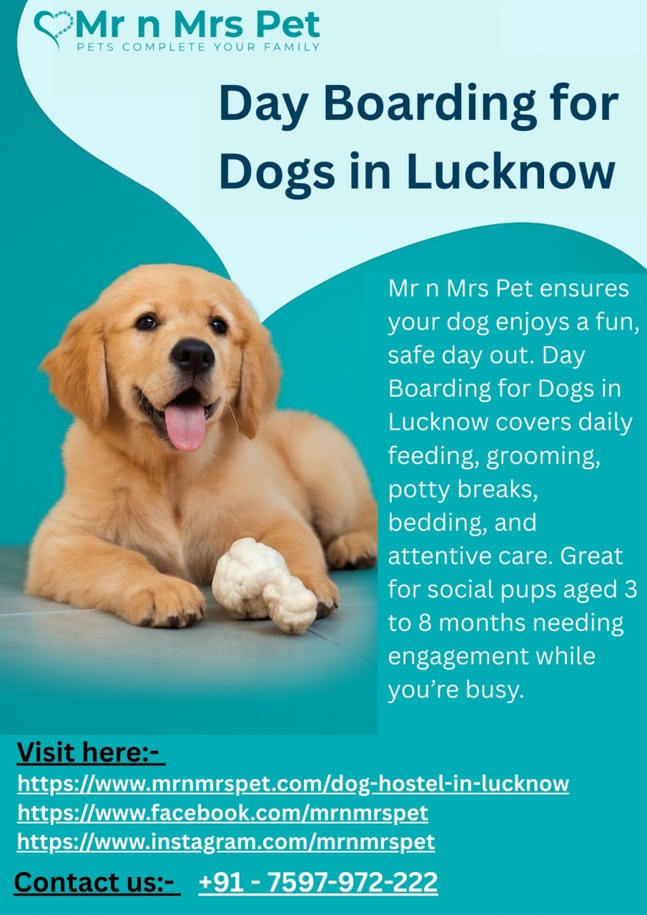 Day Boarding for Dogs in Lucknow - Lucknow