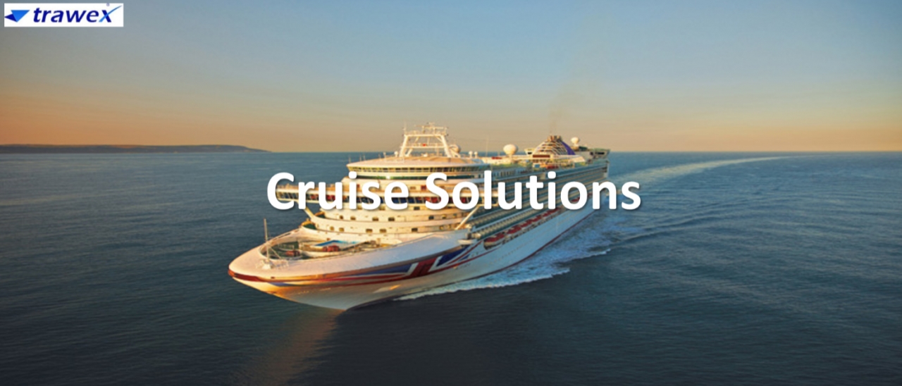 Cruise Solutions  - Bangalore