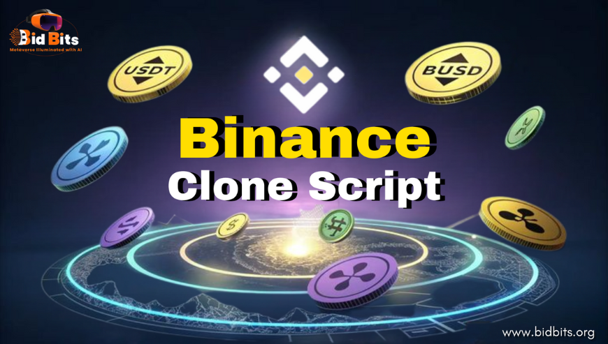 Best Binance clone Script Provider in USA - Allahabad