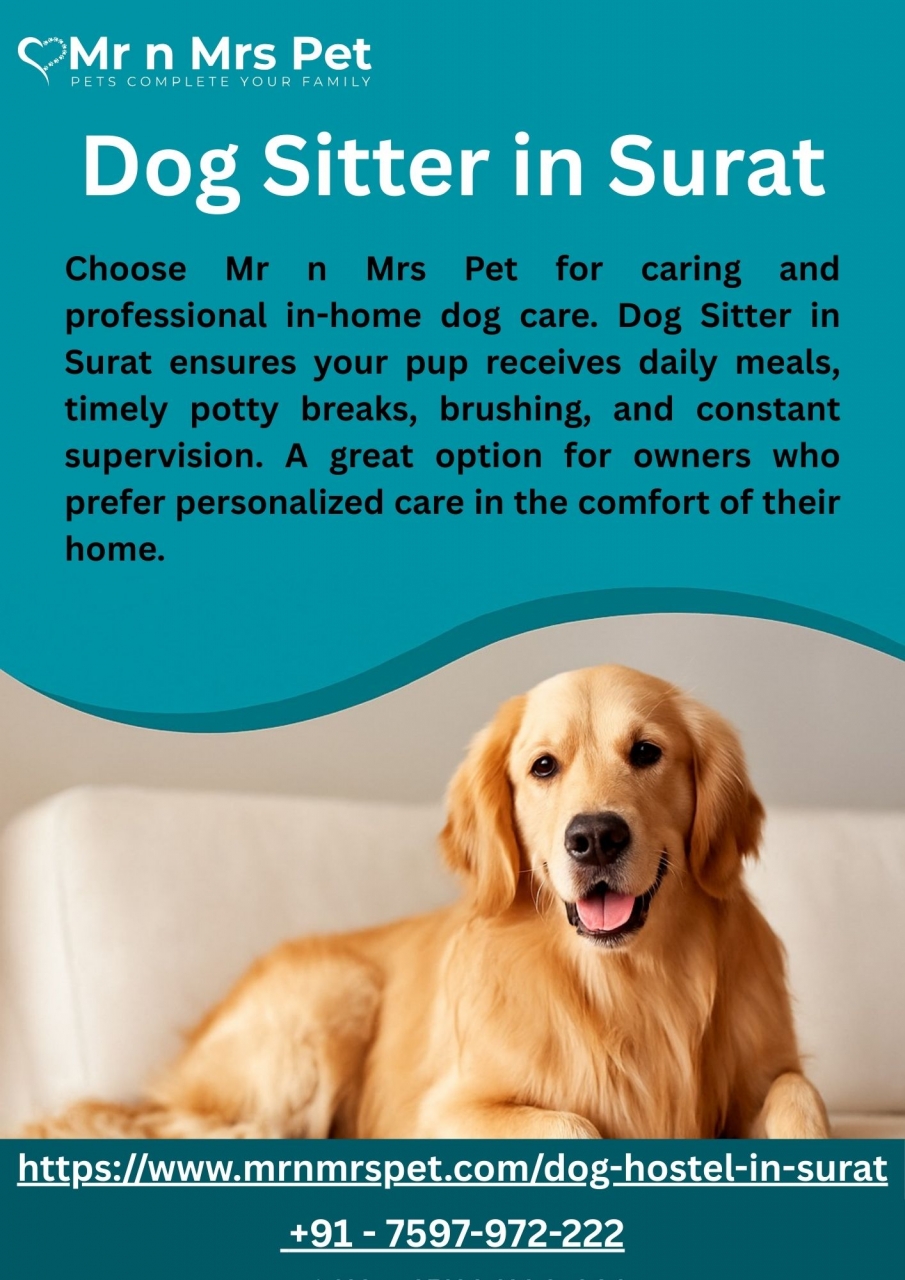 Dog Sitter in Surat - Surat