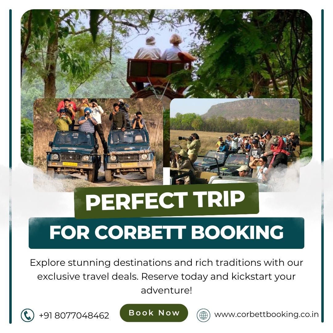Bijrani Safari Zone Ultimate Guide to Corbett Booking Magic  - Dehradun