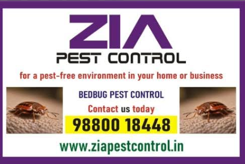 Best True Presence Sensor in India - Ghaziabad