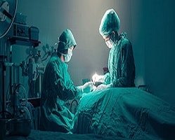 Best ART Bank in Bangalore - Surrogacy Near Me - Best Doctors for Artificial Insemination - Top Fertility Specialists - Bangalore