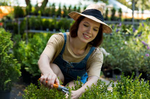 Lawn Mowing Services Hoppers Crossing & Lawn Mowing Hoppers Crossing -I love gardening - Anand