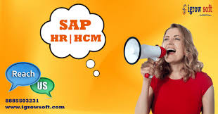 Best SAP HR HCM Online Training in Hyderabad | Igrowsoft - Hyderabad
