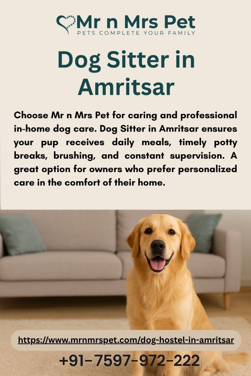Dog Sitter in Amritsar - Amritsar