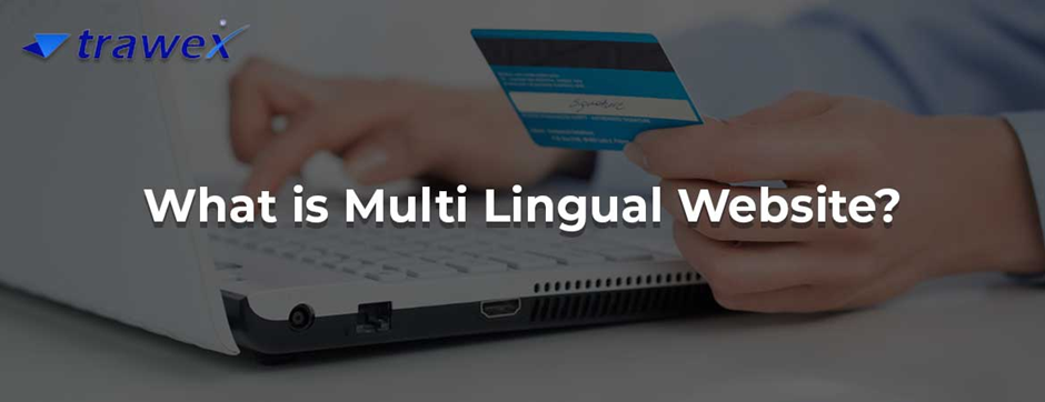 Multi Lingual Website Development