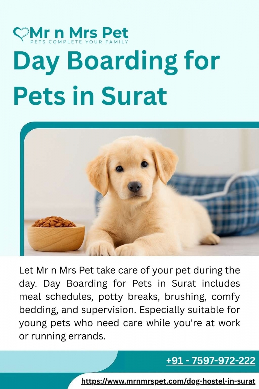 Day Boarding for Pets in Surat - Surat