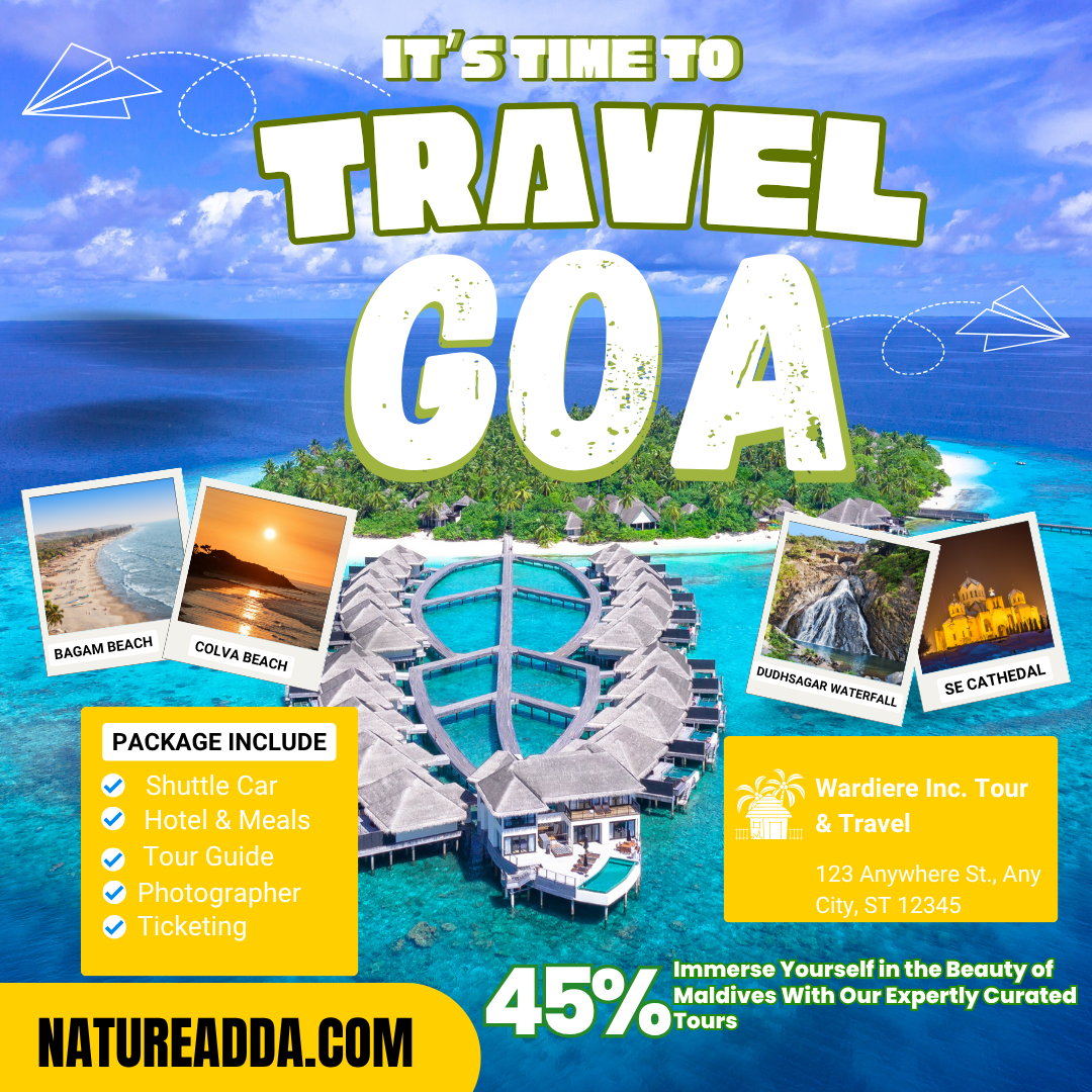  Career Consulting And Training Providers - Aurangabad